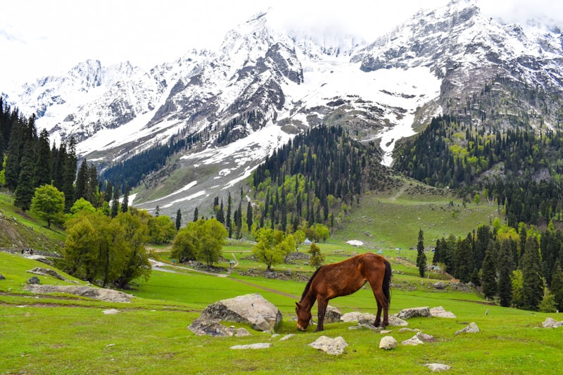 Gurez Valley
